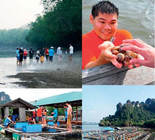 สัมผัสวิถีประมงพื้นบ้าน ความสุขที่หาได้ ที่บ้านโคกไคร พังงา